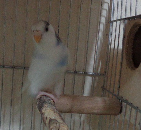 DSC00270 DSC00270