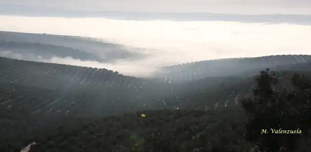 01, niebla en las caadas 1, marca