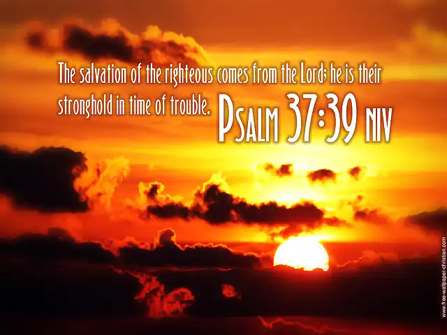 Psalm-37-39