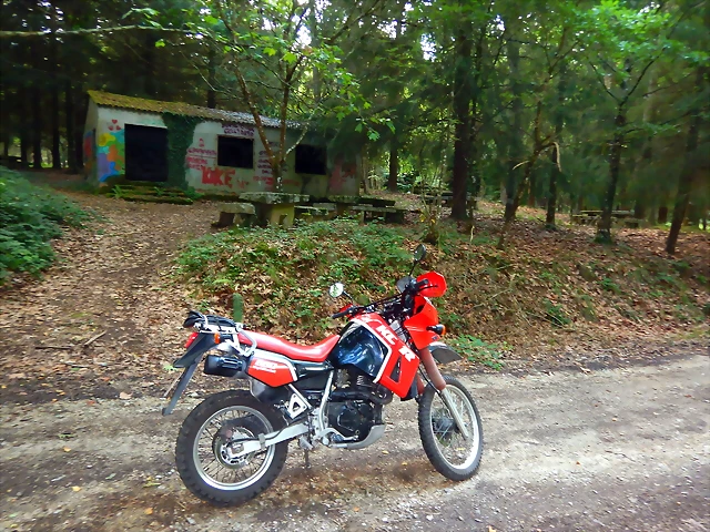 DSCN6328