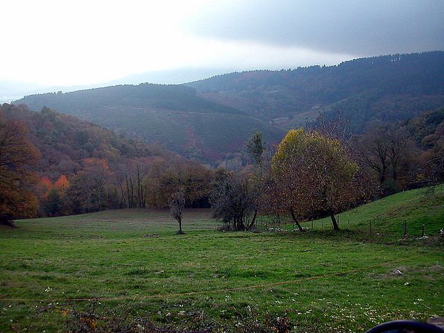 DSCN4580 DSCN4580