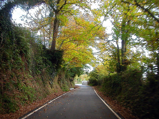 DSCN4574 DSCN4574