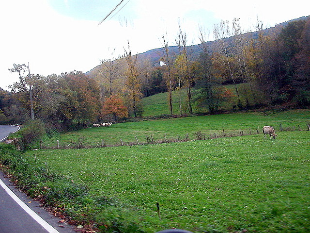DSCN4575 DSCN4575