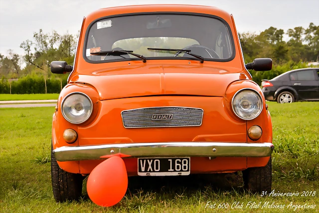 DSC_0174 DSC_0174