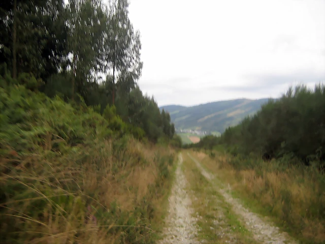 IMG_0451 IMG_0451