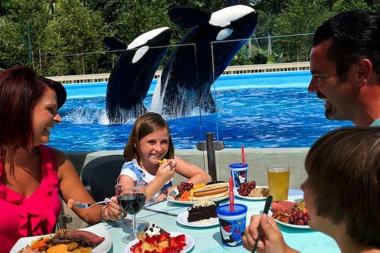 dine-with-shamu