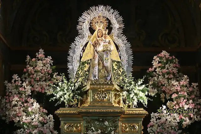 11, la virgen, marca