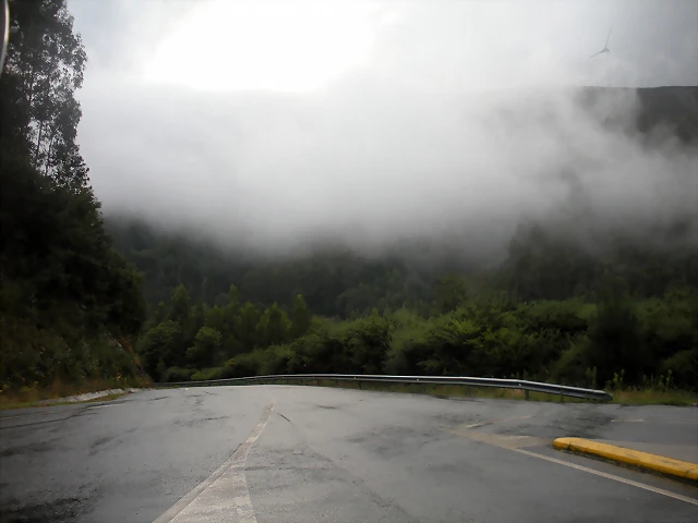 DSCN8495