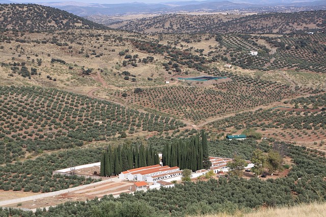 001,cementerio