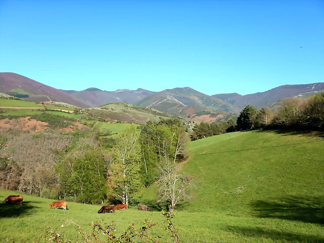 DSCN0144 DSCN0144