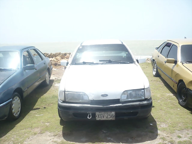 P1000760 P1000760