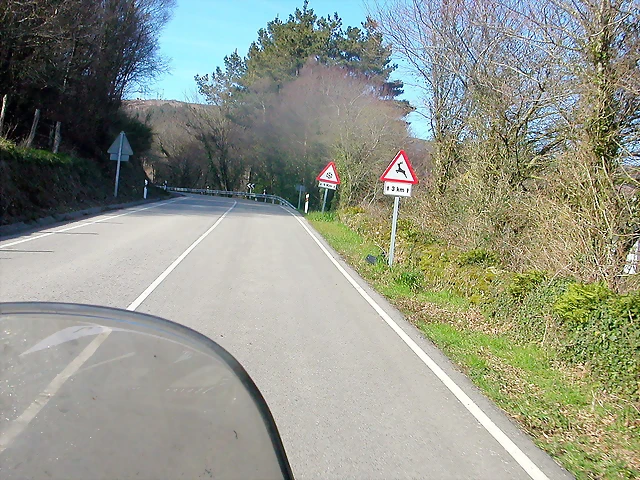 DSCN8135 DSCN8135