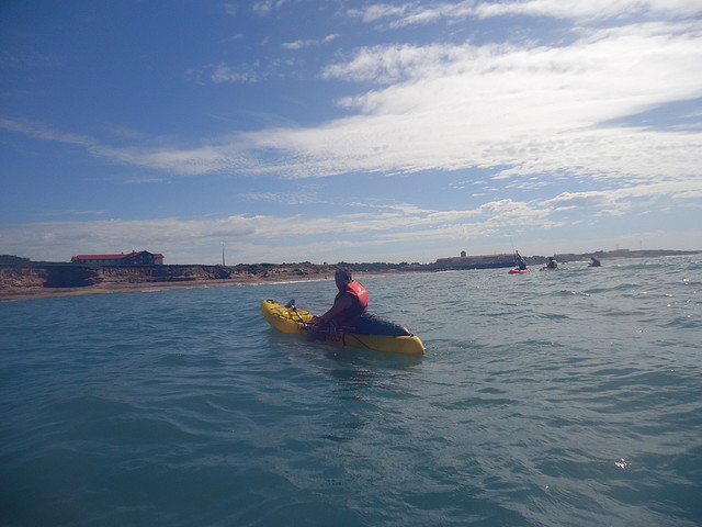 DSC01537 DSC01537