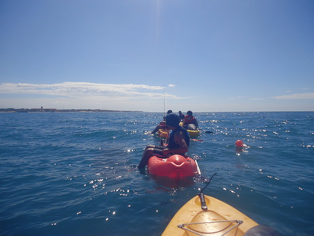 DSC01539 DSC01539