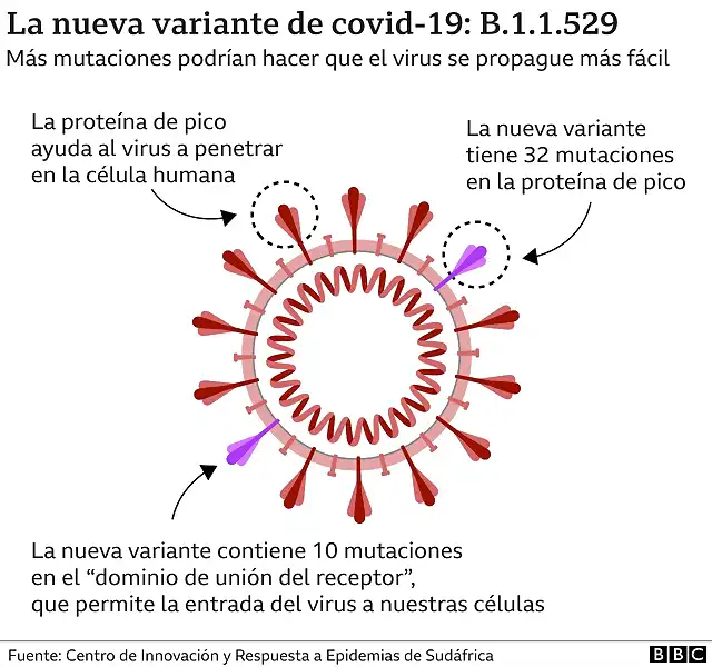 _121861872__121830446_corona_variant_b11529_v2_mundo_2x640-nc-2x-nc