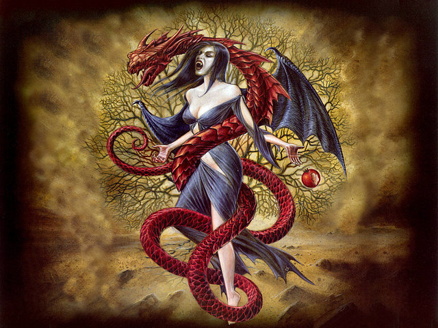 dragon dragon