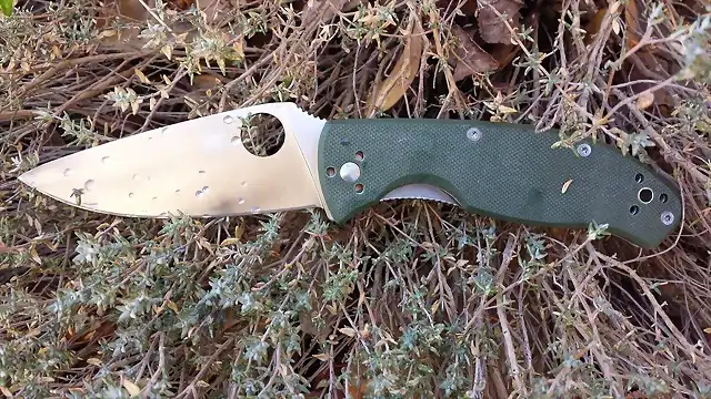 Spyderco Tenacious Green