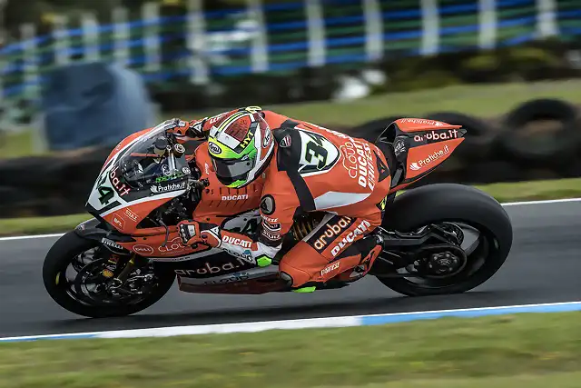 0243_P01_Giugliano_action