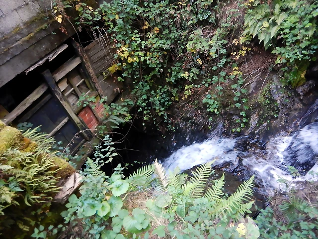 DSCN0119 DSCN0119