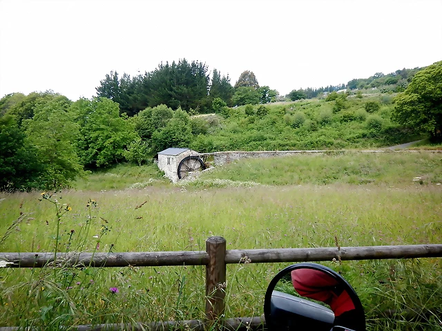 DSCN4275 DSCN4275