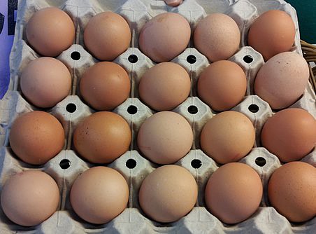 Huevos de dos yemas