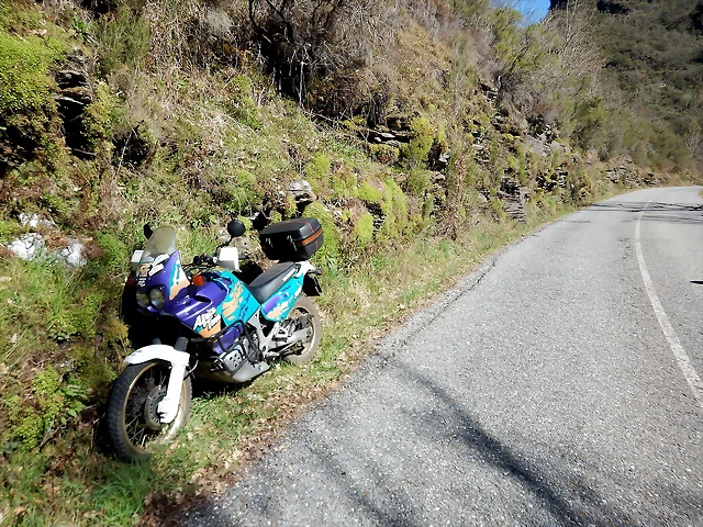 DSCN3809 DSCN3809