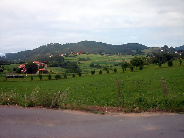 DSCN2429 DSCN2429