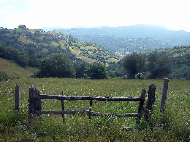 DSCN2710 DSCN2710