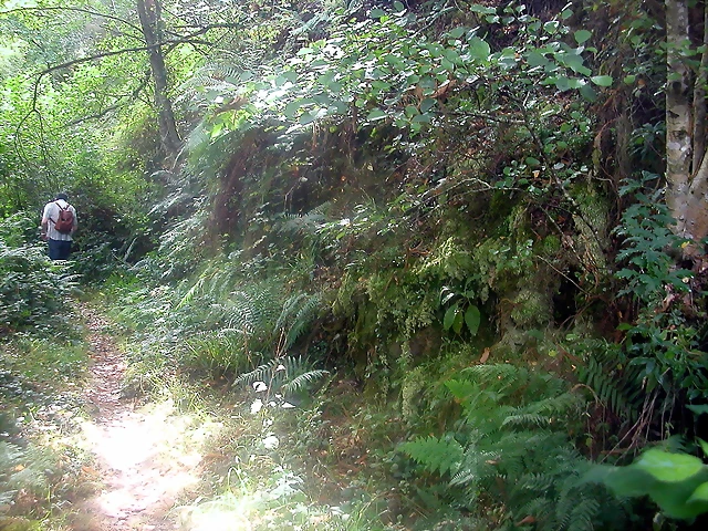 DSCN2489 DSCN2489
