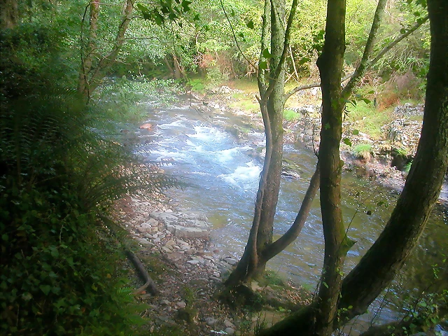 DSCN2503 DSCN2503