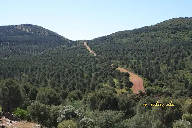 018, cerro la cabeza y palanco, marca