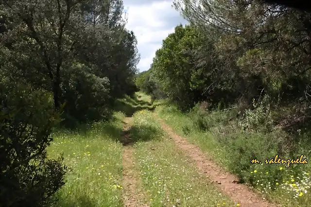 027, hacia el sumidero, marca