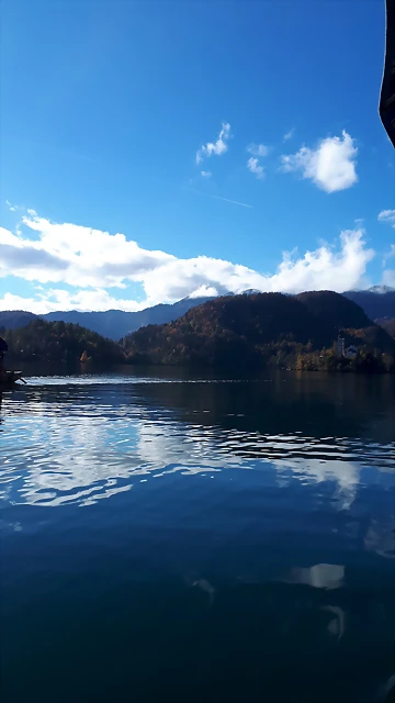 20181031_115850 20181031_115850