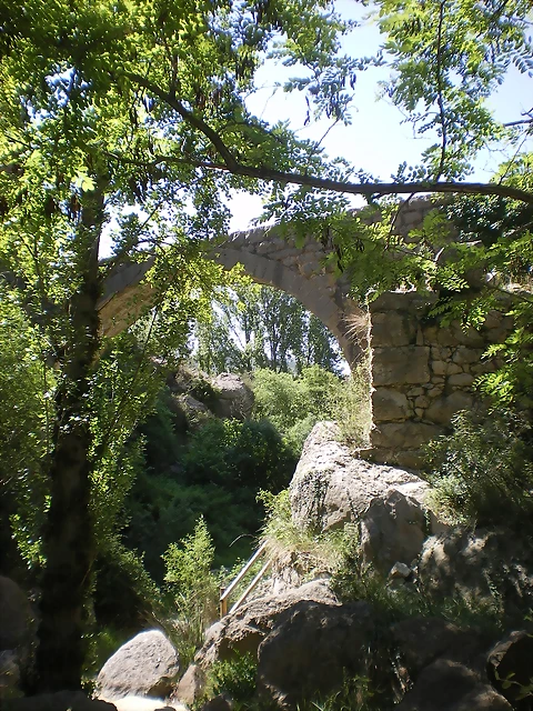 IMGP8704 IMGP8704