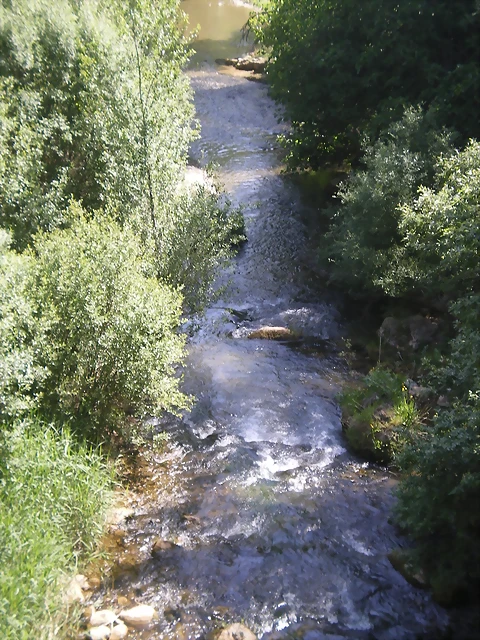 IMGP8700 IMGP8700