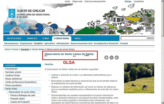 OLGA OLGA