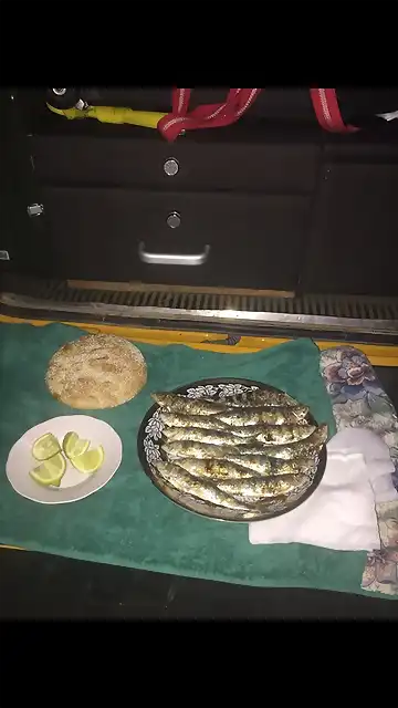 sardinas