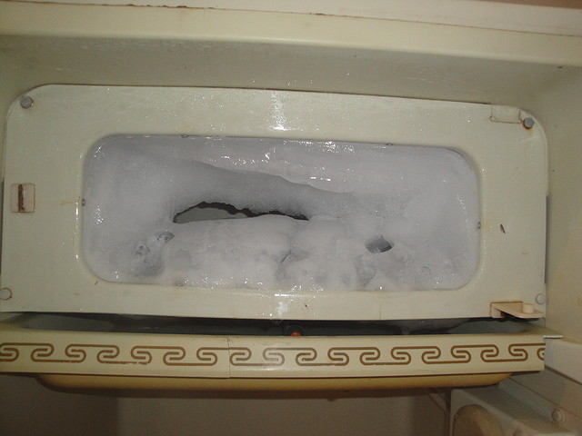 congelador o freezer