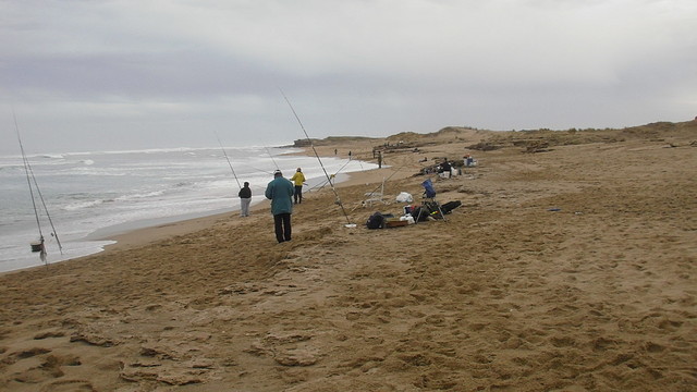 Rocas Negras 011