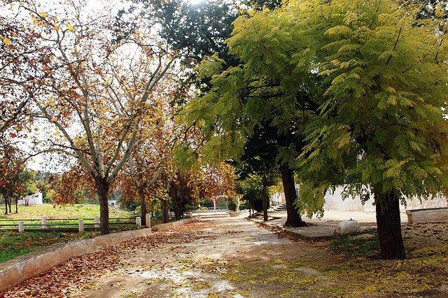 paseo de la estrella 10