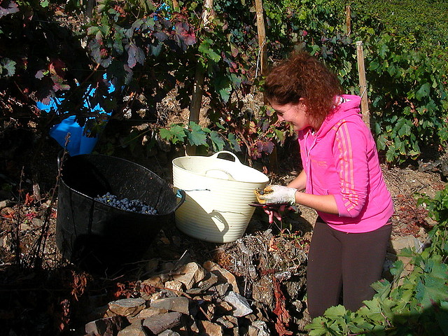 DSCN3940 DSCN3940