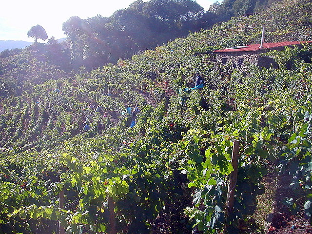 DSCN3929 DSCN3929