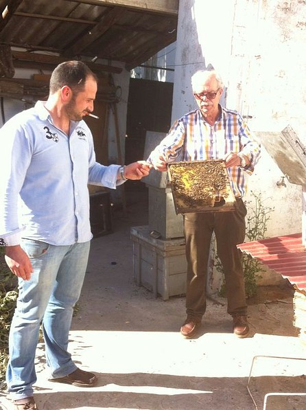 image image