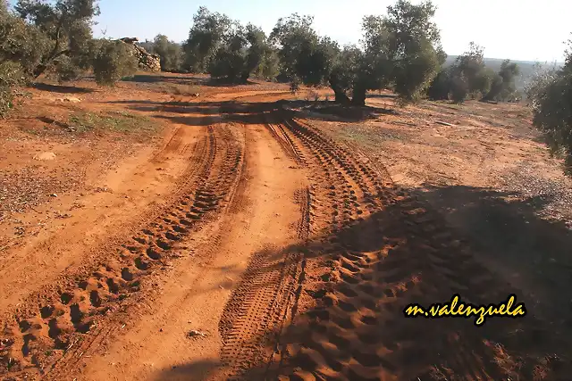 12, caada de los vuelos, marca