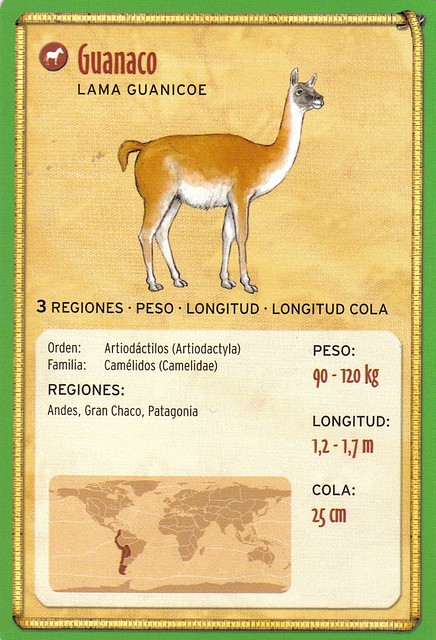 guanaco