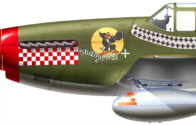 p51dcu.06a