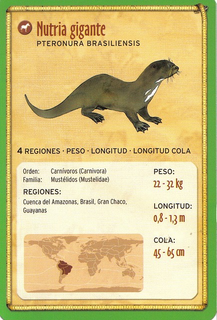 nutria gigante