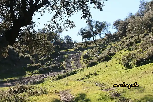 07, caminando hacia la loma, marca