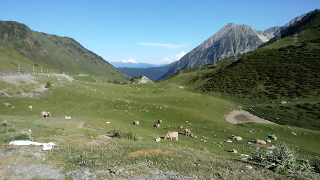 20170617_190404 20170617_190404