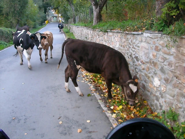 DSCN1620 DSCN1620